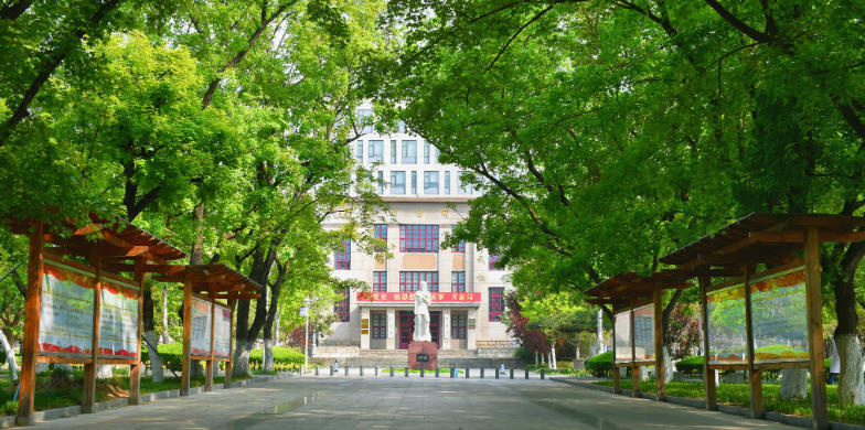 山东农业大学的农学专业在全国排名多少位?